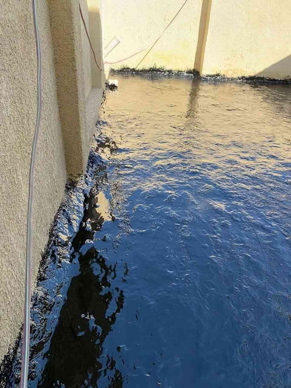 السلام عليكم

تطبيك السطوح بالاشتايكر وترميم السطوح القديمة  وأعادة الماستك وتزفيت السطوح عمل أو كرستة وعمل حسب طلب  شغل درجة اولى 
فلانكوت 
زفت 
نايلون زراعي حسب الطلب 
فلين او فووم حسب الطلب 
زميج
اشتايكر درجة اولى 
ماستك .. للاستفسار 📞***********

ونعمل في (بغداد) وجميع المحافظات

