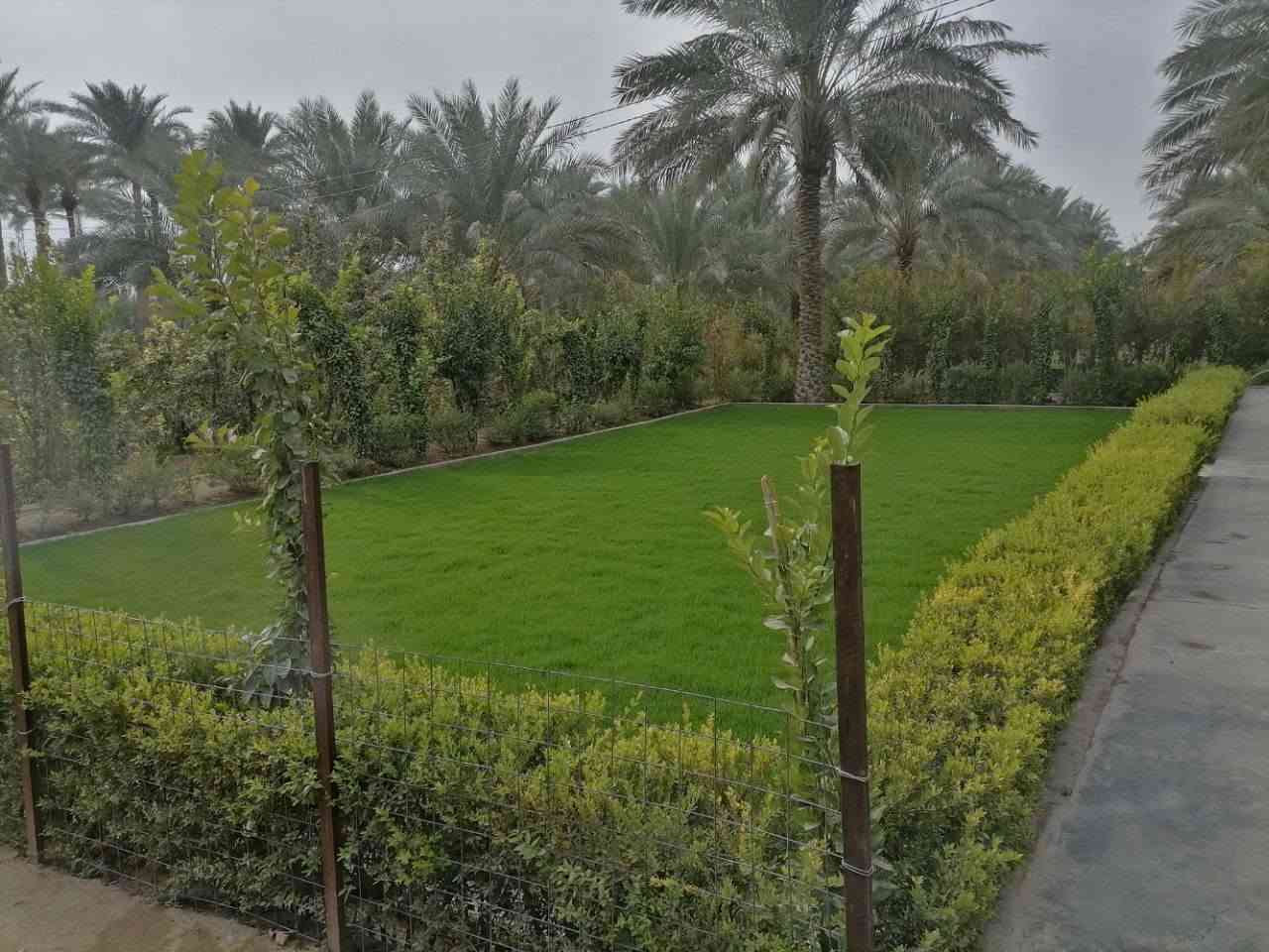 نشتغل حدائق ومزارع 🌿
🔹 كافة التصاميم الحديثة والكلاسيكية
🔹 تنفيذ نافورات وشلالات
🔹 تأسيس أنظمة مرشّات حديثة
🔹 تشجير الحدائق بكافة أنواع الورود والأشجار
🔹 خبرة وجودة في التنفيذ
📞 للاستفسار والمراسلة:
***********
