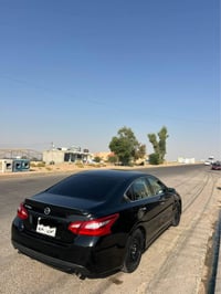 التيما ٢٠١٧ • صبغ ١ • ورقي