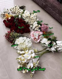 ورد • شبه جديد • بغداد
