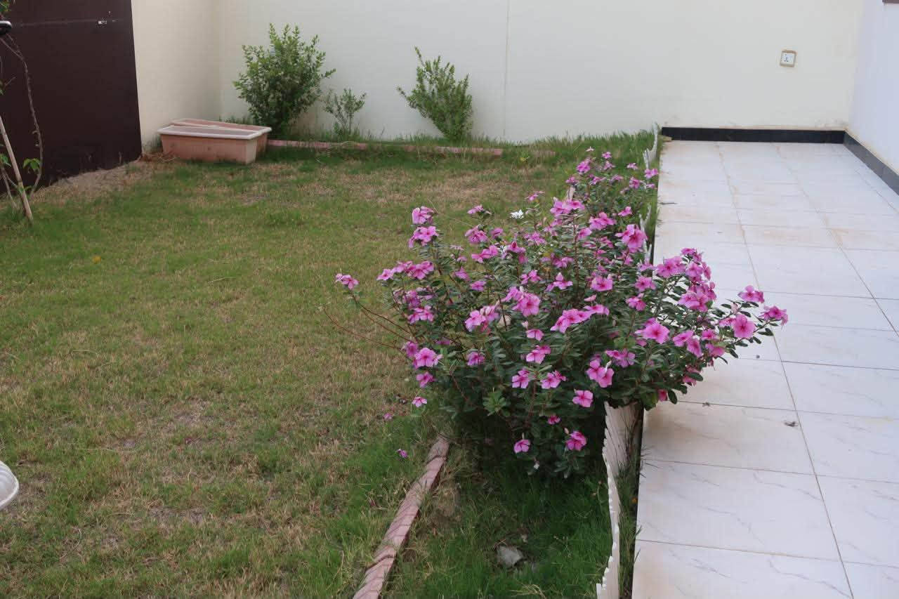 🏡✨ للبيع | دار مميز في مجمع السلطان السكني – المرحلة الثانية
فرصة سكنية مميزة بموقع جميل أمام حديقة 🌿🤍

📐 مساحة الأرض: 240م² + فضلة 13م²
🏠 طابقين
🛏️ 3 غرف نوم
▫️ غرفة في الطابق الأول
▫️ غرفتان في الطابق الثاني
✨ إحداهما سويت والأخرى غرفة عادية

🌟 إضافات ومميزات الدار:

• سقيفة مودرن
• الكراج بالكامل بورسلين
• باب وسطية أنيق يفصل بين الاستقبال والصالة
• قواطع زجاجية للحمامات
• ديكورات مميزة في الاستقبال والصالة
• موقع الدار مقابل حديقة 🌿
• مساحة إضافية مميزة بفضل الـ 13م² فضلة

📍 مجمع السلطان السكني – المرحلة الثانية – النجف الأشرف

📞 للاستفسار ومعرفة التفاصيل والتواصل: ***********

دار بمساحة مميزة، إضافات مرتبة، وموقع أمام الحديقة… جاهز ليكون بيتكم القادم 🏡🤍

#مجمع_السلطان_السكني
#مجمع_السلطان
#بيوت_للبيع
#عقارات_النجف
#عقارات_النجف_الأشرف
#بيت_للبيع
#النجف_الأشرف

نص مكتوب في الصور:
- (B3)
- ملحق رقم (4)
- السلطان السكني
- مساحة الأرض : 240 م²
- مساحة بناء الكلية : 180.4 م²
- مساحة بناء الطابق الأول : 63.1 م²
- السطح
- منور
- UP
- 3:50
- غرفة نوم رقم 3
- غرفة نوم رقم 4
- حمام
- Al Sultan Residential Complex
- Iraq - Al Najaf
- Mobile: +964 7823777719
- +964 7730777719
- sales@alsultancomplex-najaf.com
- 00/00/2018
- مجمع السلطان السكني
- العراق - النجف الأشرف
- موبايل : ٩٦٤٧٨٢٣٧٧٧١٩+
- ٩٦٤٧٧٣٠٧٧٧٧١٩+
- www.alsultancomplex-najaf.com