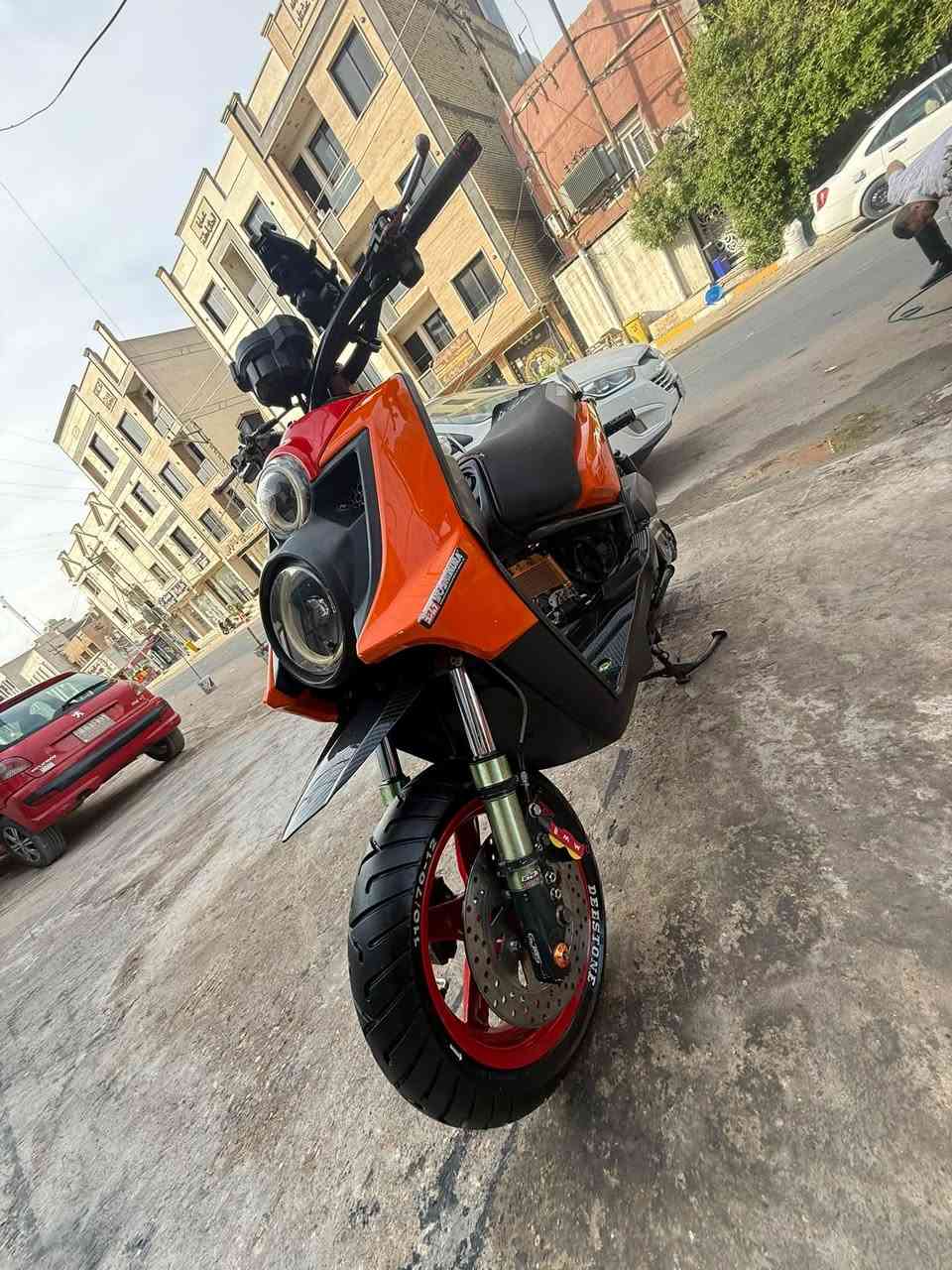 جبلي • مزوعه • ٦٣