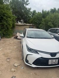 كورلا • ٢٠٢٥ • كفالة الحلو
