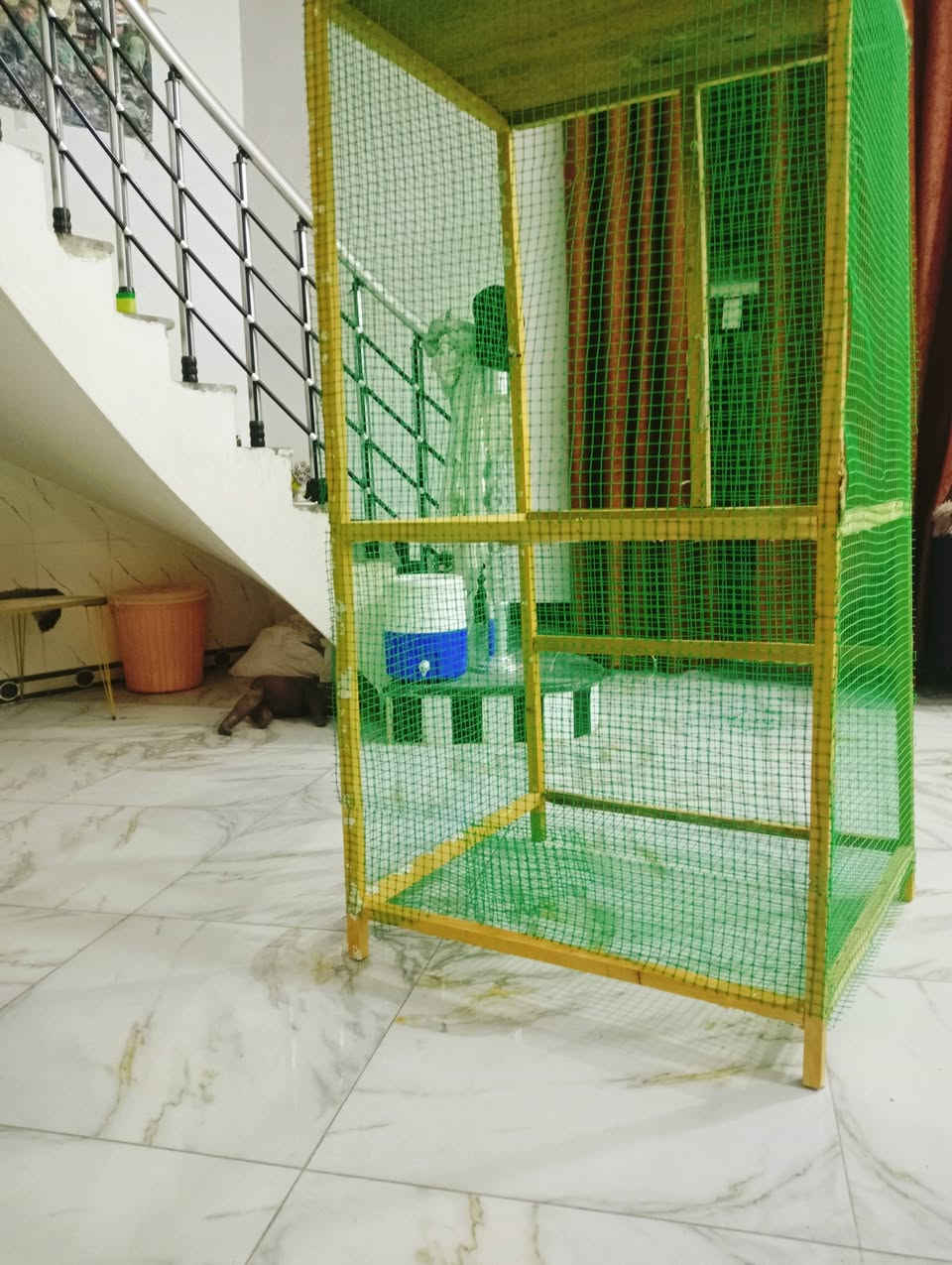 سلام عليكم قفص للبيع. أطول 140ولعرض 75   لسعر   خاص لعنوان لناصرية مركز 
رقمي ***********وتساب فقط 
+964 788 959 8745 بس على لخط وتساب مابي قفص عوزة بس باب راسلني وبيك خير وتدلل

