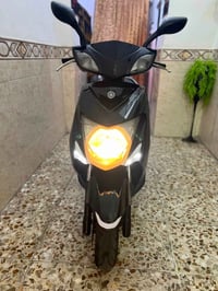 سكنس فحل • ياباني • مكفوله
