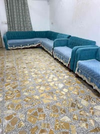 تخم قنفات • درجة اولى • النجف