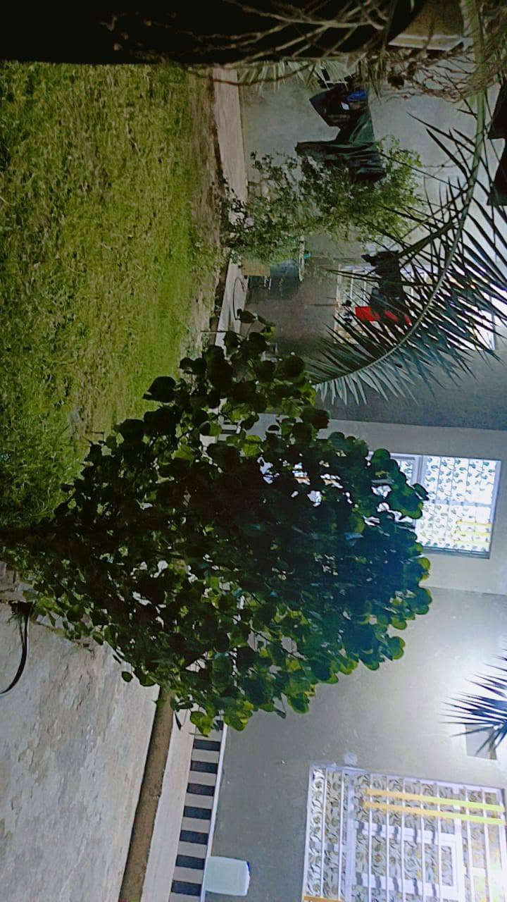 يا الله 
يوفر لكم مكتب الزاملي للعقار 
بيت بناء طابوق سقف صب المساحه 200م
يحتوي على غرفة نوم 1 وهول ومطبخ واستقبال بناء حديث 
عنوانه كوت حي الجهاد زنابره قرب الفرن.
للاستفسار الاتصال.
***********.
