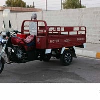 ستوتة • موديل 21 • فحل عالي