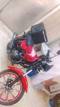 شاينك • ٢٠٢٥ • مكفوله