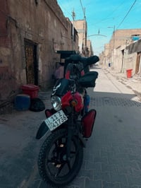 بوكسر • مكفوله • لوحة وسنوية