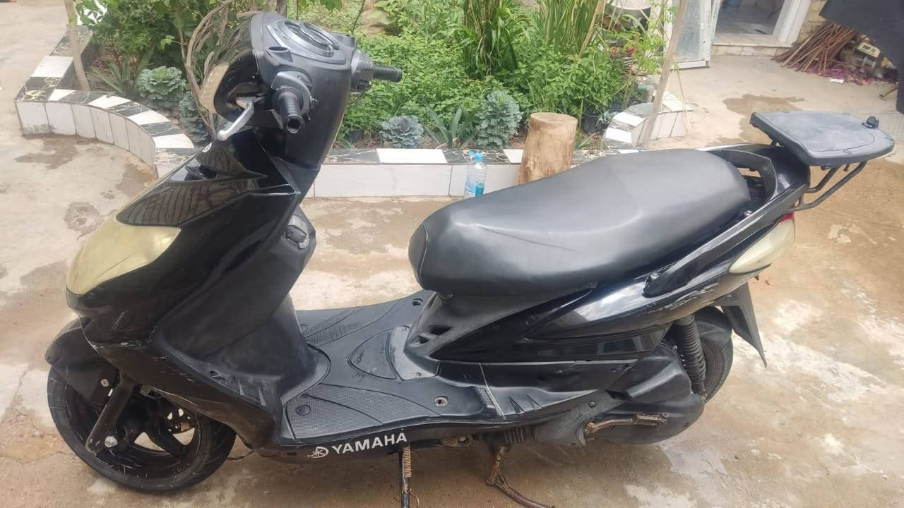سكنس فحل ياباني نوزل للبيع
واتساب ***********

