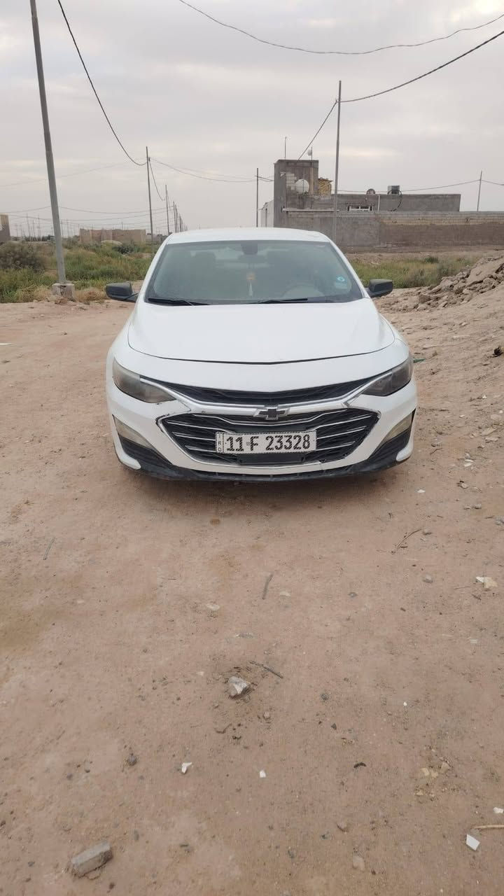 ماليبو ٢٠٢٠ • حادثة امريكا • النجف