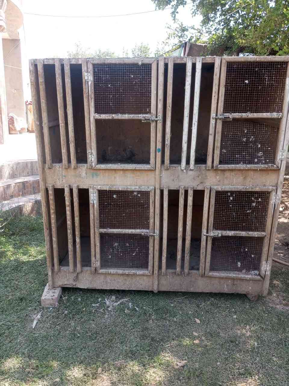 خانات دجاج هراتي
سعر 125

العنوان العلم سمرة 

***********

***********
