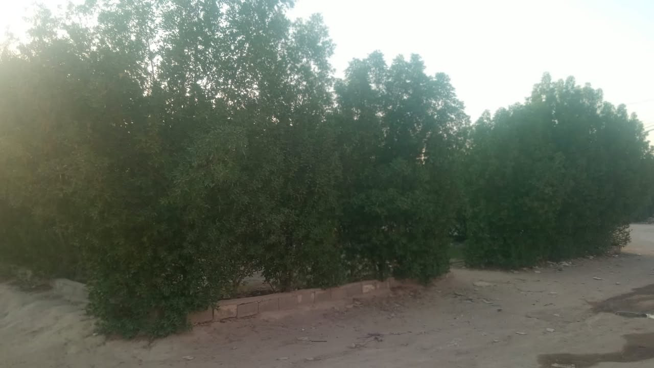 للبيع 
🏡مشتمل  الفلوجة حي الشهداء منطقة 19
 مساحة 175 طابقين على حديقة كامل قرب شارع 40 البورديني  
طابو صرف  طابوك 
السعر 145 مليون 
للاستفسار الاتصال واتساب ***********
