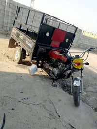 ستوته • شغال • بودي خيسان