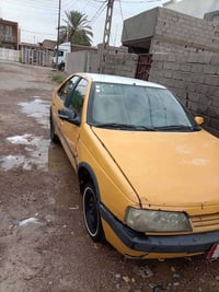 بيجو روا • ٢٠٠٨ • بدون صبغ