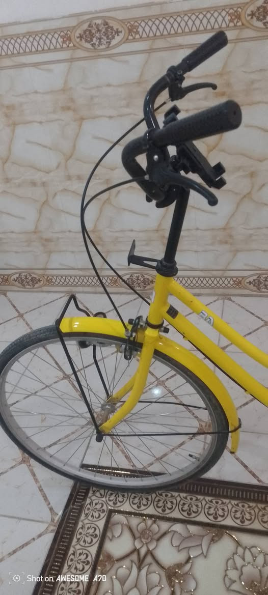 باسكل • مقاس ٢٦ • موديل ٢٠٢٢