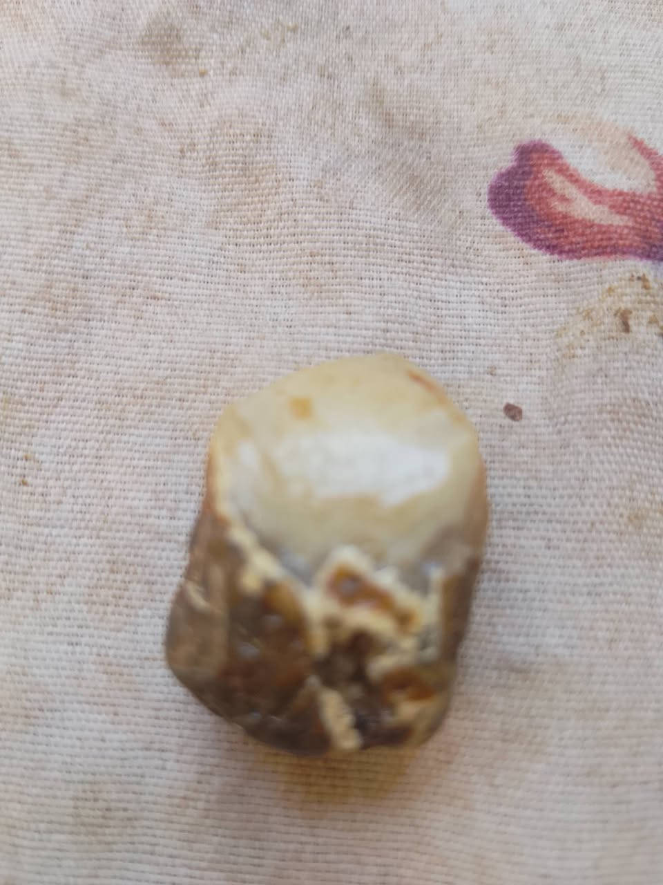 حجر لبيع الاتصال ***********

