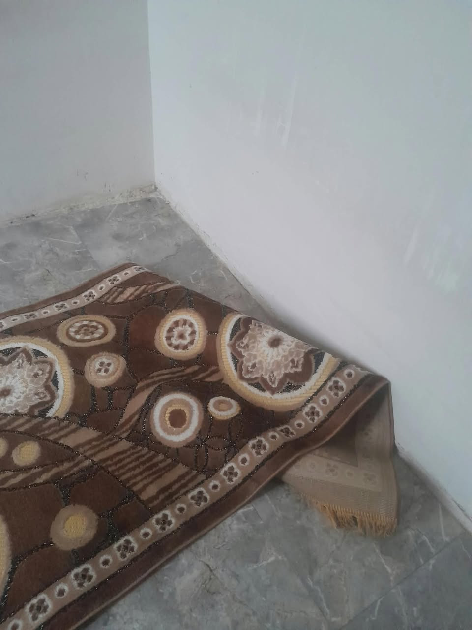 سجادة باب • جديدة • ٥م