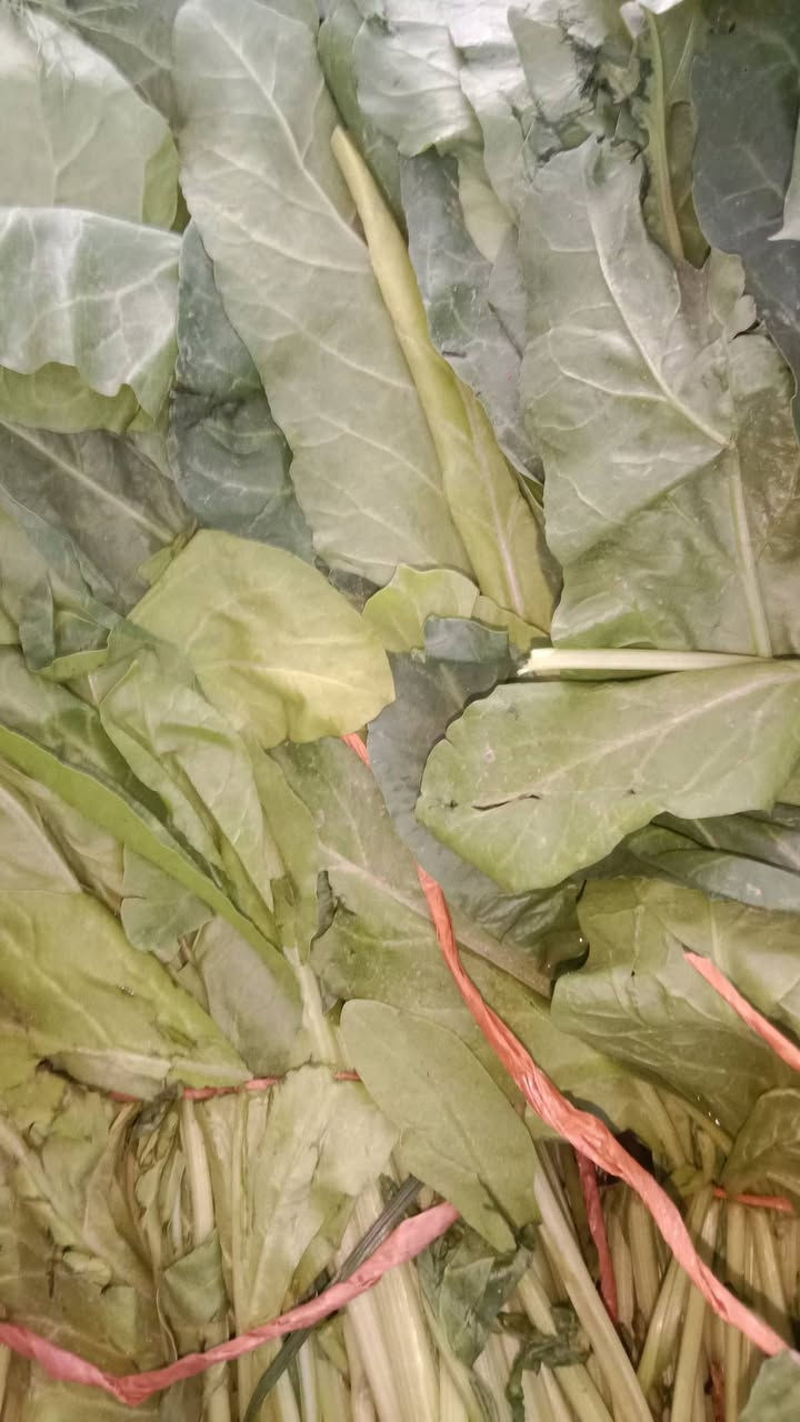 سبيناغ بغداد • فجل أحمر • توصيل