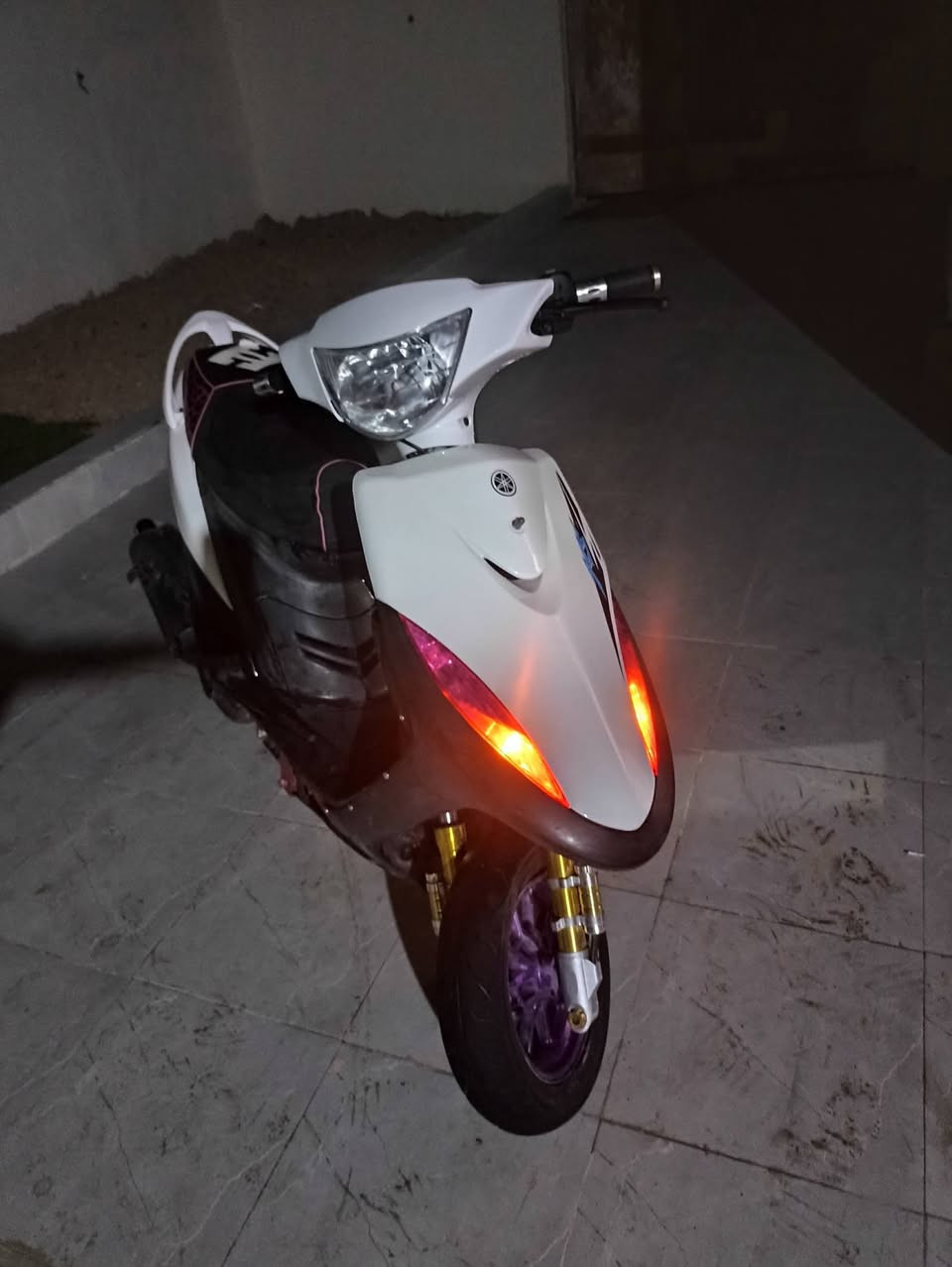 ماكس عدلة • بوشه ٥٥ • معدل