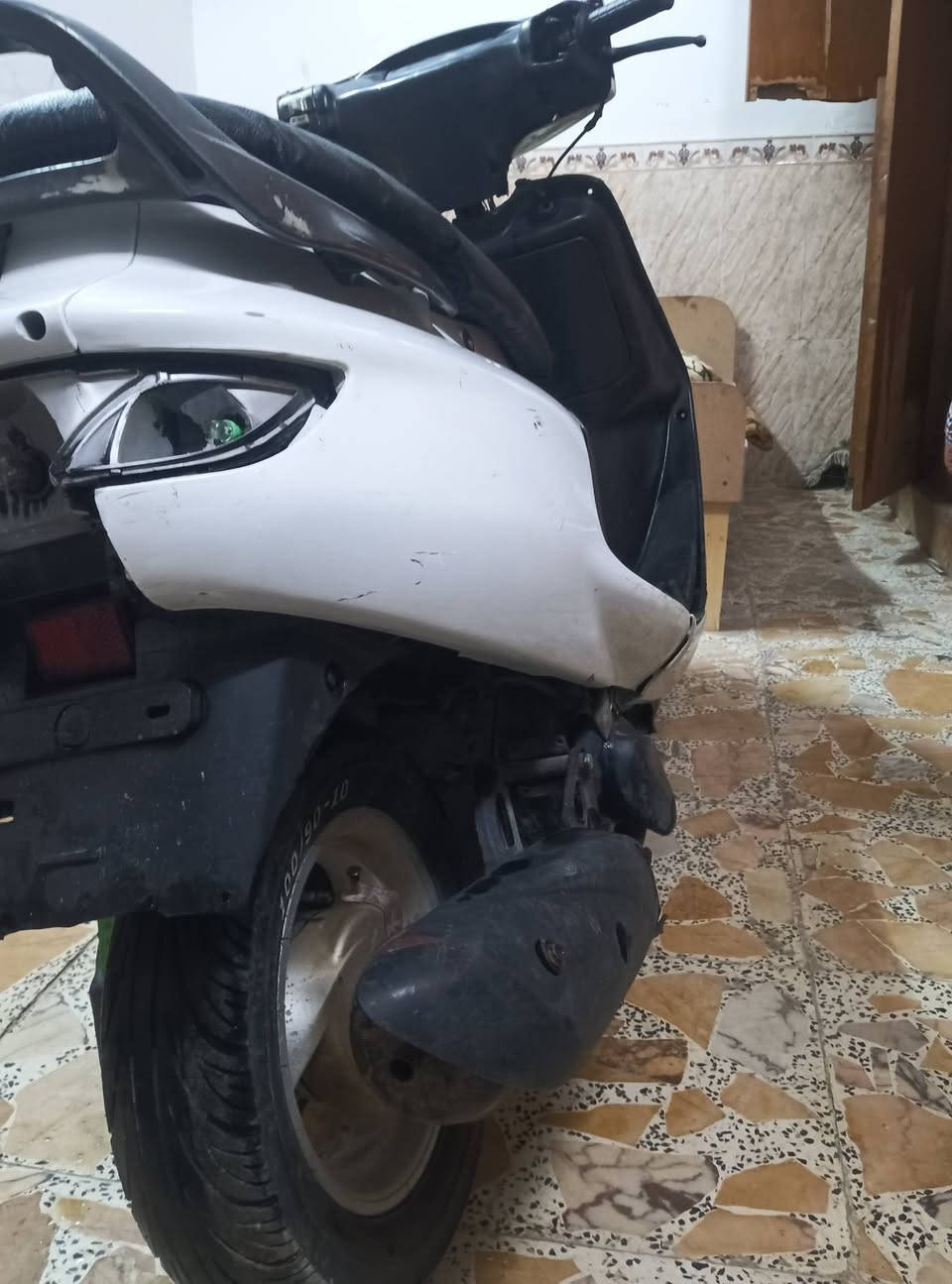 فراشة • نجف • تجفيت