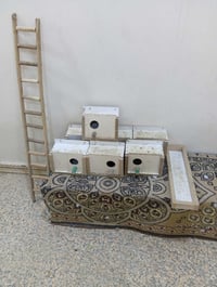 ٨ ابيوت • درج • معلف