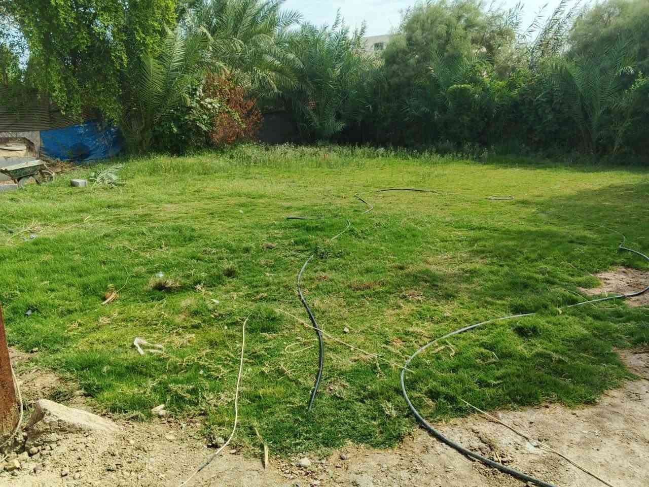 نصف دونم • سند ٢٥ • التاجي ابو جدايل