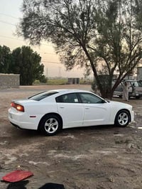 جارجر • فول اوبشن • ٢٠١٤