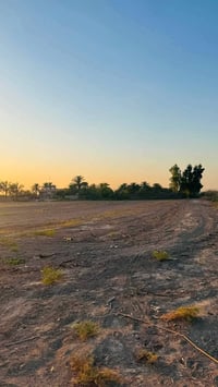 دونم • سند ٢٥ • هوئ الشام