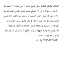 زوير الغربي • سند ٢٥ • ١٠٠م