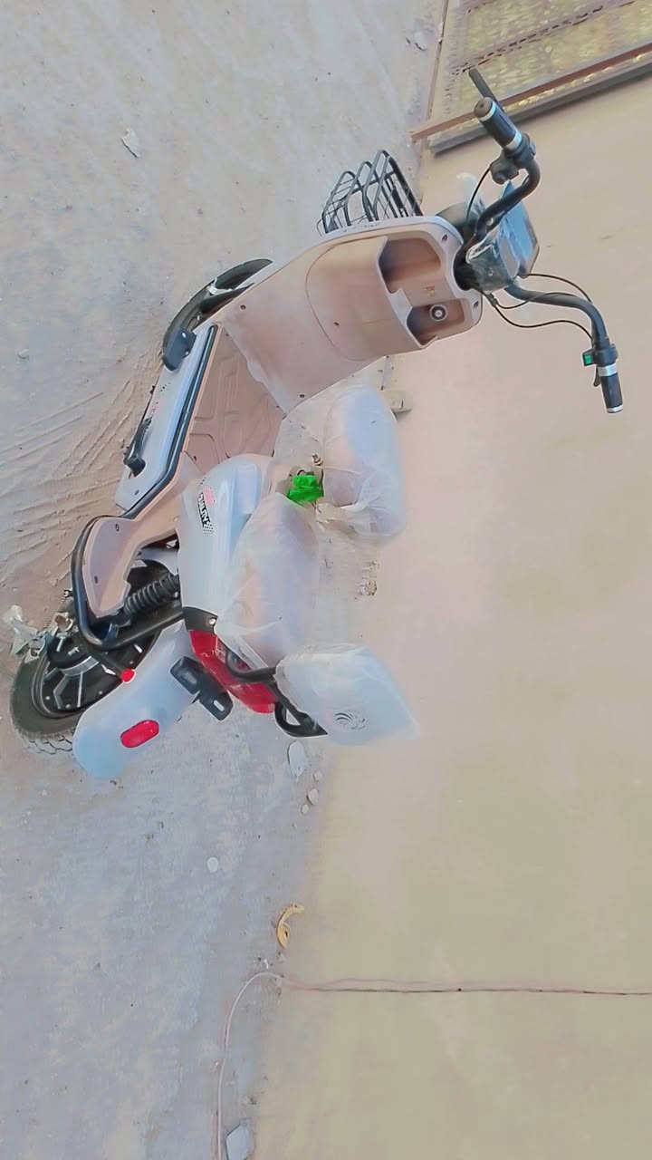 شحن ١٤ • ٢٠٢٦ • جديدة