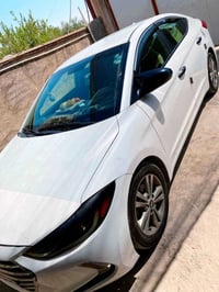 النترا • ٢٠١٧ • وارد امريكي