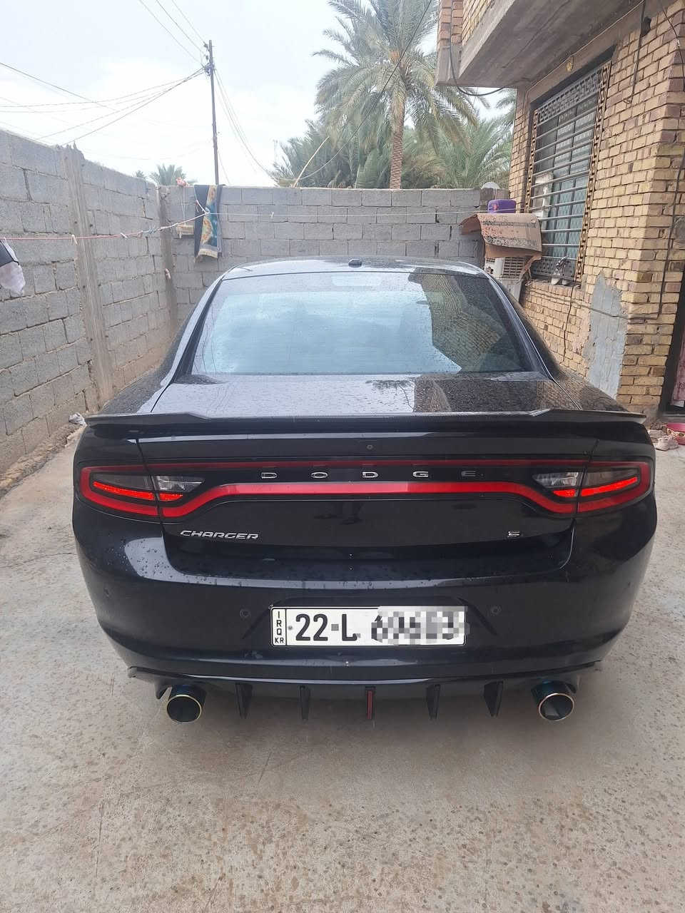 تشارجر SXT • ٢٠١٩ • رقم اربيل