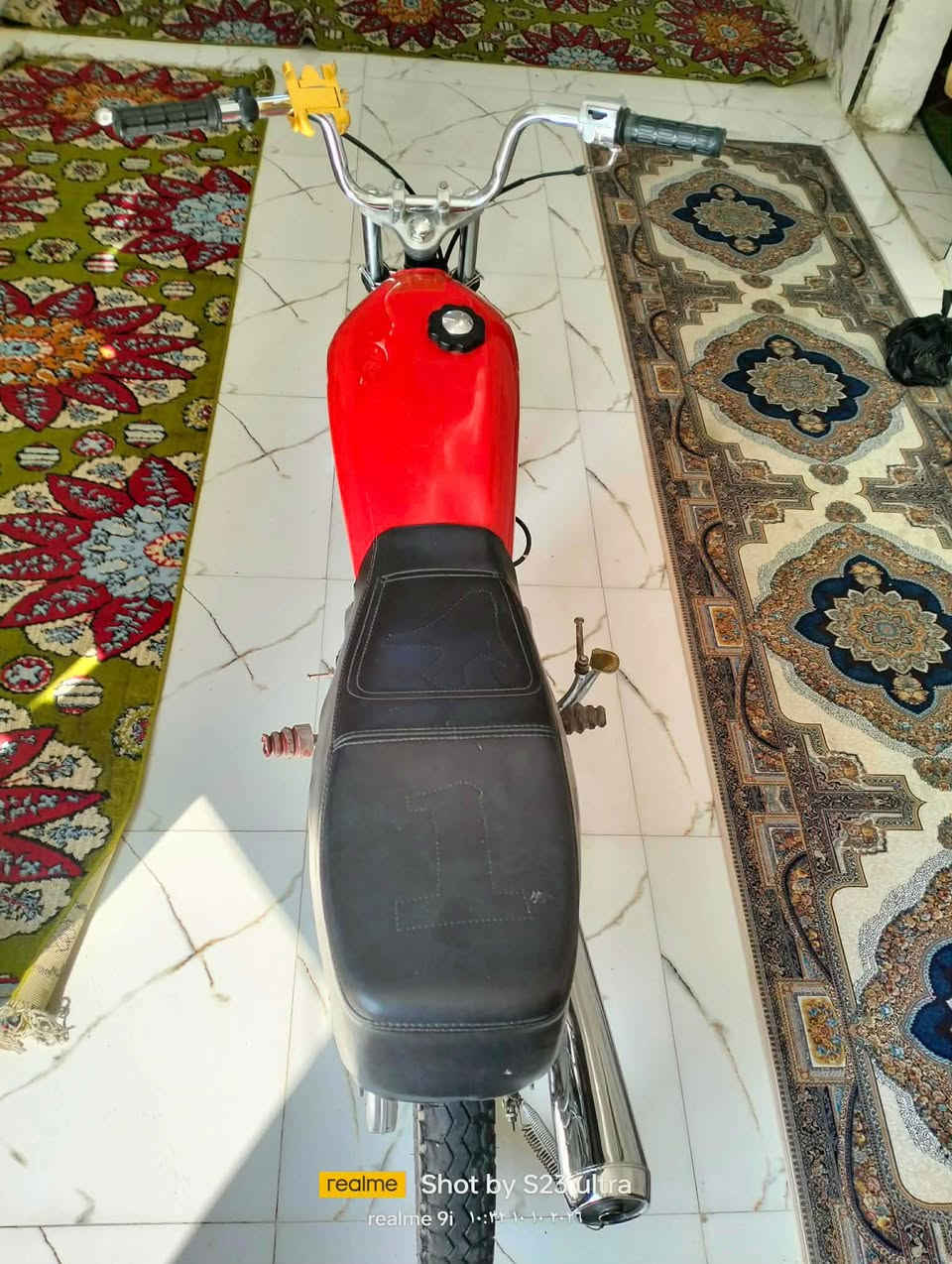 ماكس • نضيفه • مراوس