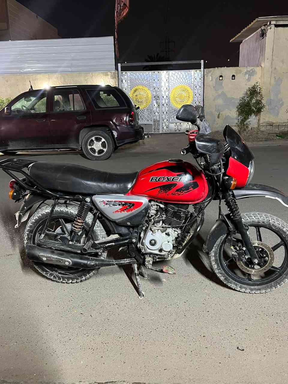 بوكسر جبلي • ٢٠٢٣ • أوراق