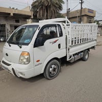 بغداد • فحل • صبغ