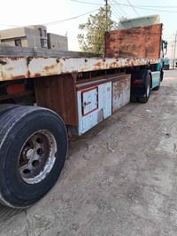عربانه بلوم • تخم تاير