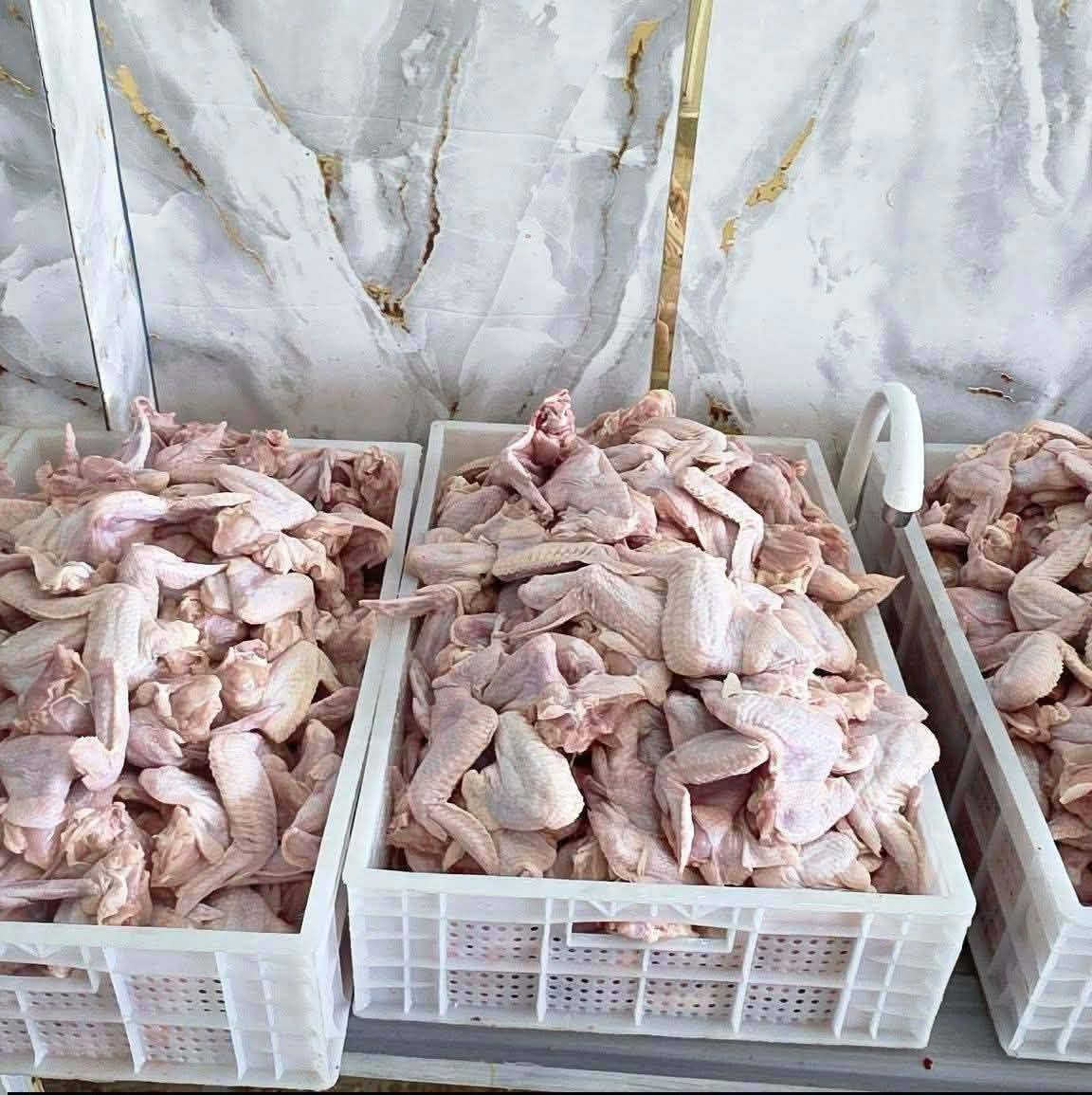جمعتكم متكمل اله ويه علي المياحي  
سمك المسكوف والحي والدجاج  الطعم البغدادي الأصيل… يوصل لباب بيتك! 🏠🚗

🐟 سمك مسكوف — 7,500 د.ع
🐟 سمك حي طازج — 5,500 د.ع
🍗 دجاج حي طازج — 3,500 د.ع
🍗 صدر دجاج — 5,500 د.ع
🍗 أفخاذ طازة — 5,000 د.ع
🍗 أجنحة — 5,000 د.ع

━━━━━━━━━━━━━━

🚗💨 توصيل سريع داخل بسماية
💰 التوصيل 1,000 د.ع فقط

📞 للطلب والحجز:
***********
***********

✨ طازج • نظيف • سعر مناسب
🔥 علي المياحي — اطلب ودلل!

نص مكتوب في الصور:
- سمك حي سعر الكيلو 5500