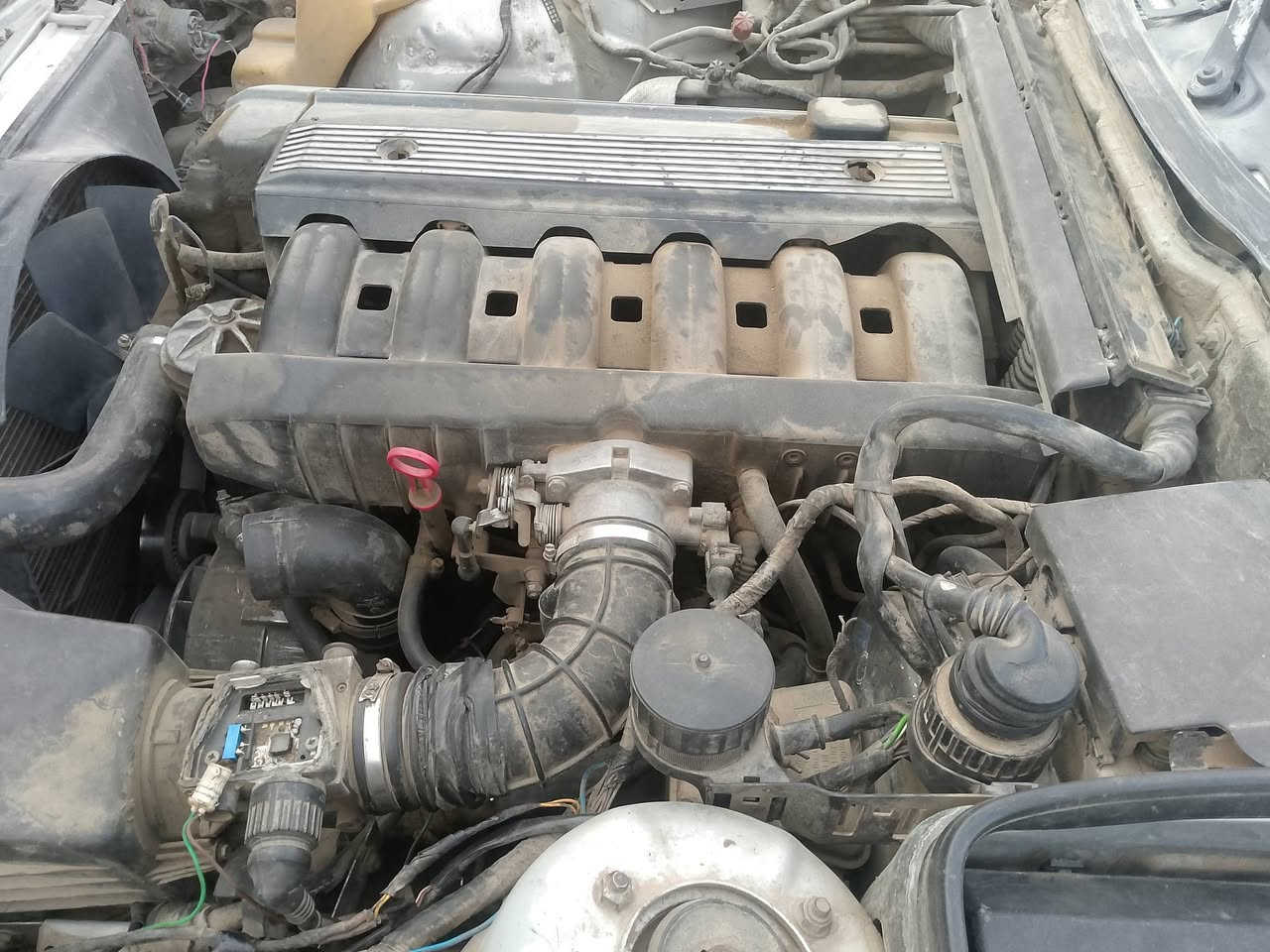 525
23
***********
