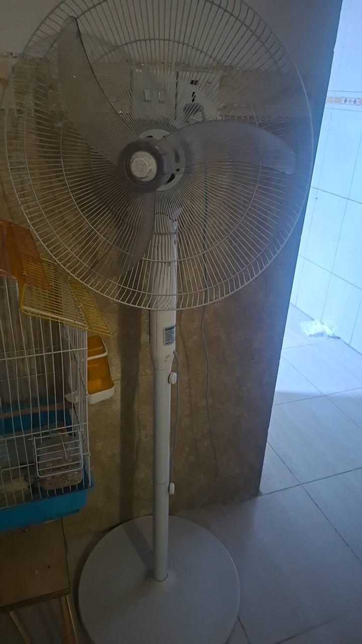 الي يريدهم هسه يجي ميز وكراسي ب١٥٠ دبات غاز اثنين ب٩٠ درج جديد خمس درجات ب٢٠ سله زباله لمس ب١٠ شجره يوكا ب٢٠ شازلونه خزن ب٥٠ قاطع خشبي جديد ب٤٠ صوبه كبيره ب٢٠ طشت وتخت بلاستك قوي وسبوره ورحله اطفال ب٢٠ كلهم***********
