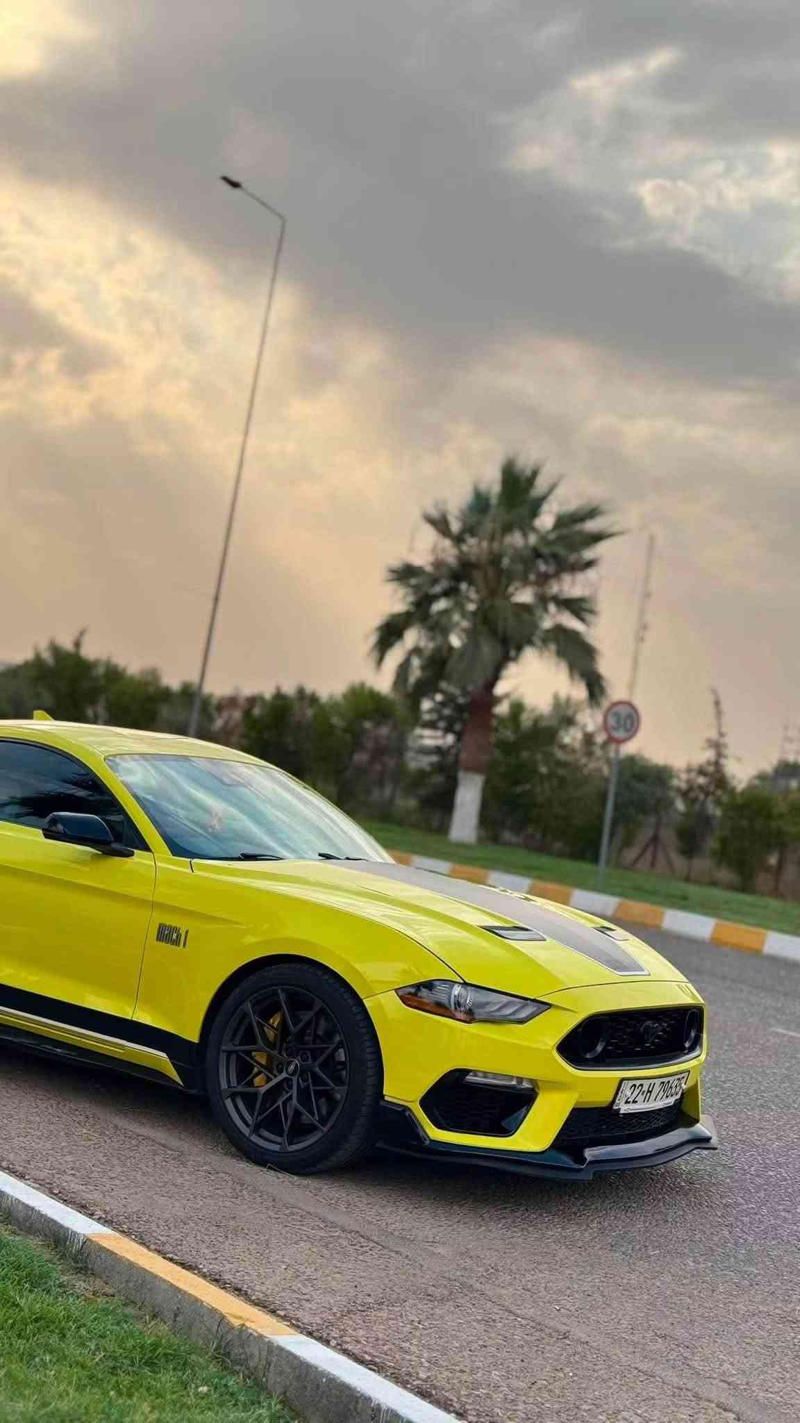 موستنغ Mach1 • ٢٠٢١ • ٣٨٠٠٠ مايل