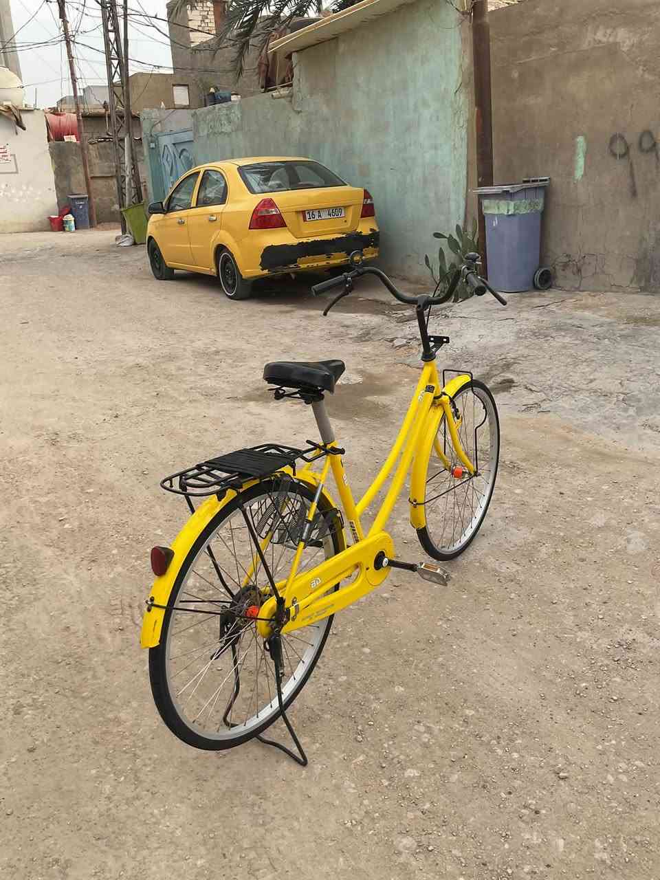 باسكل • ليموني • ٢٠٢٢