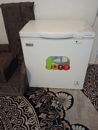 مجمدة • دنكه • للبيع