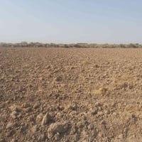 دونم زراعي • النهروان • وجه ٢٥م