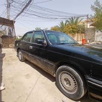 بونتيشا • ١٩٩٣ • الخالص