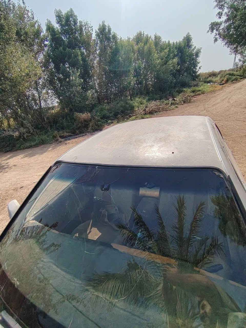 بطه • للبيع • مجال بسيط