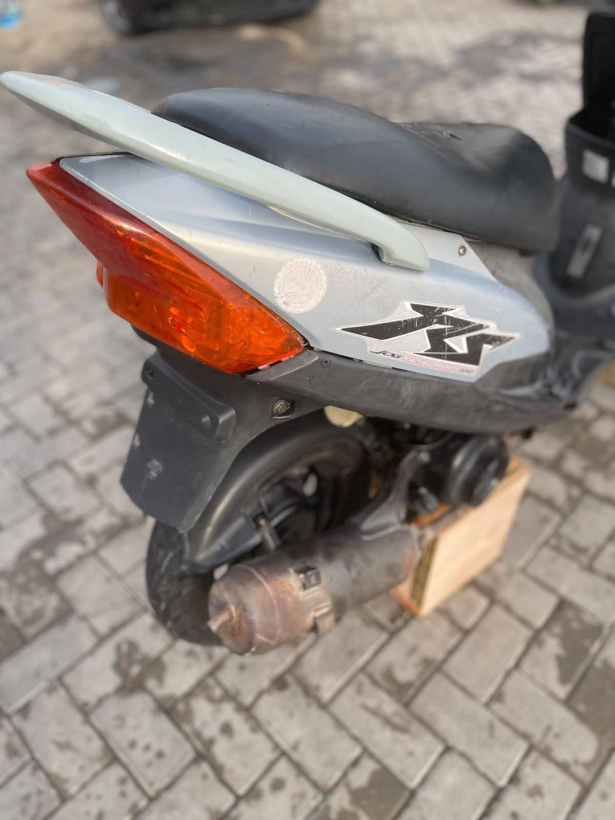 ماكس عدلة • بلادي • ٤٩