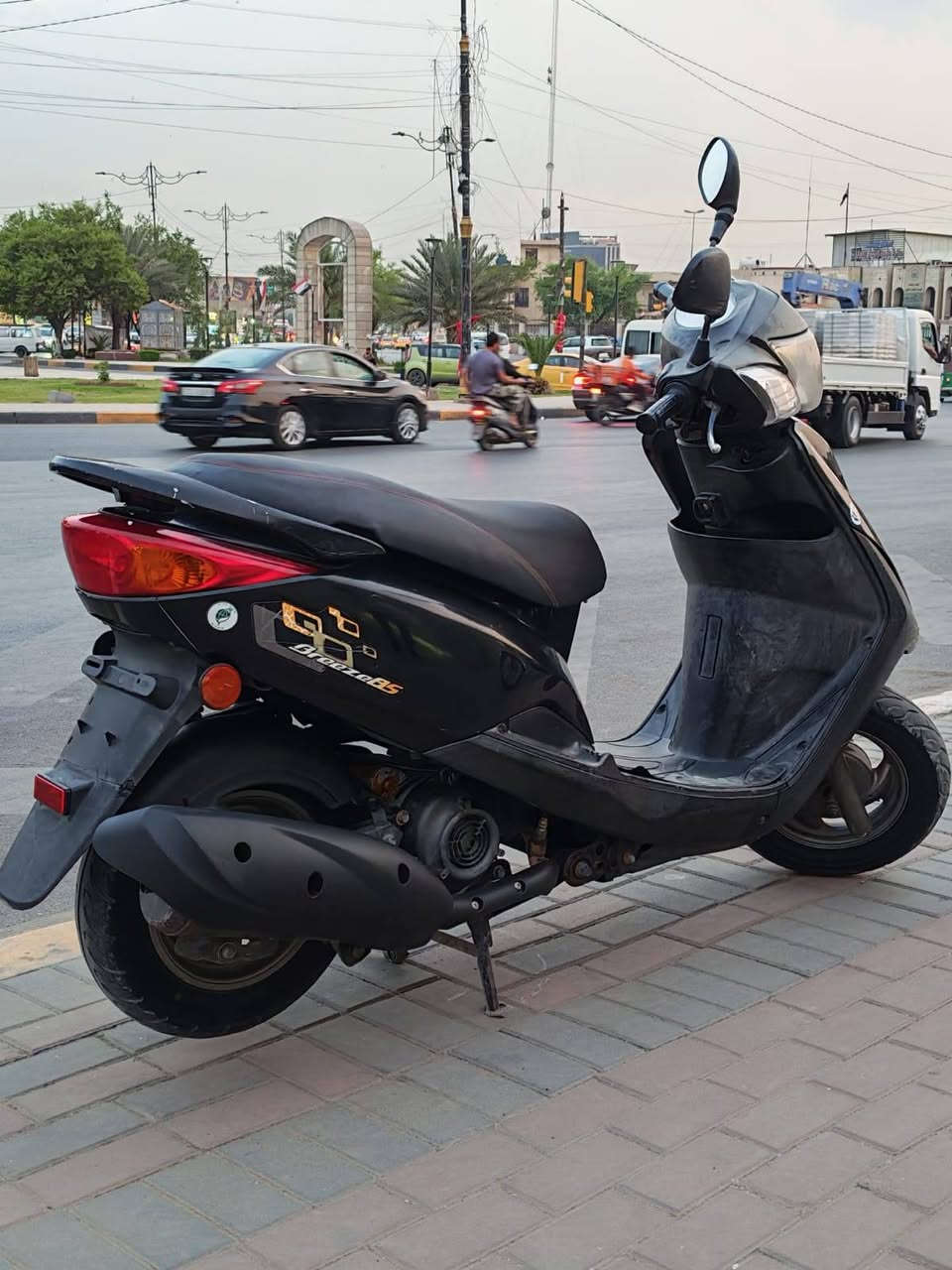 ببغاء • كفالة عامه • الطالبية