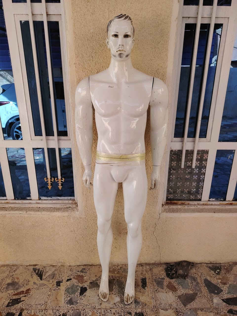 مليكانات للبيع
مليكان كامل 60
صدر 45
رجل 45
***********
